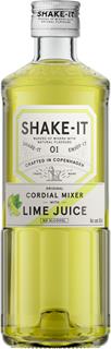 Mixer Shake It Lime