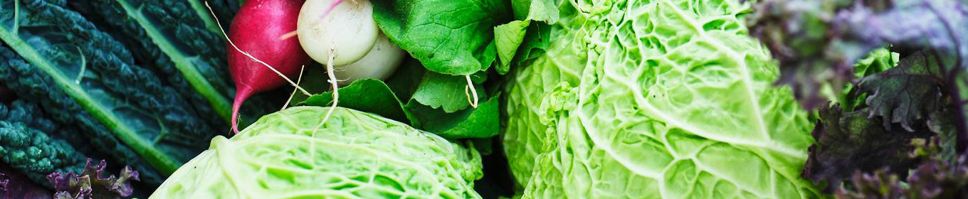 Minskat matsvinn och avfall