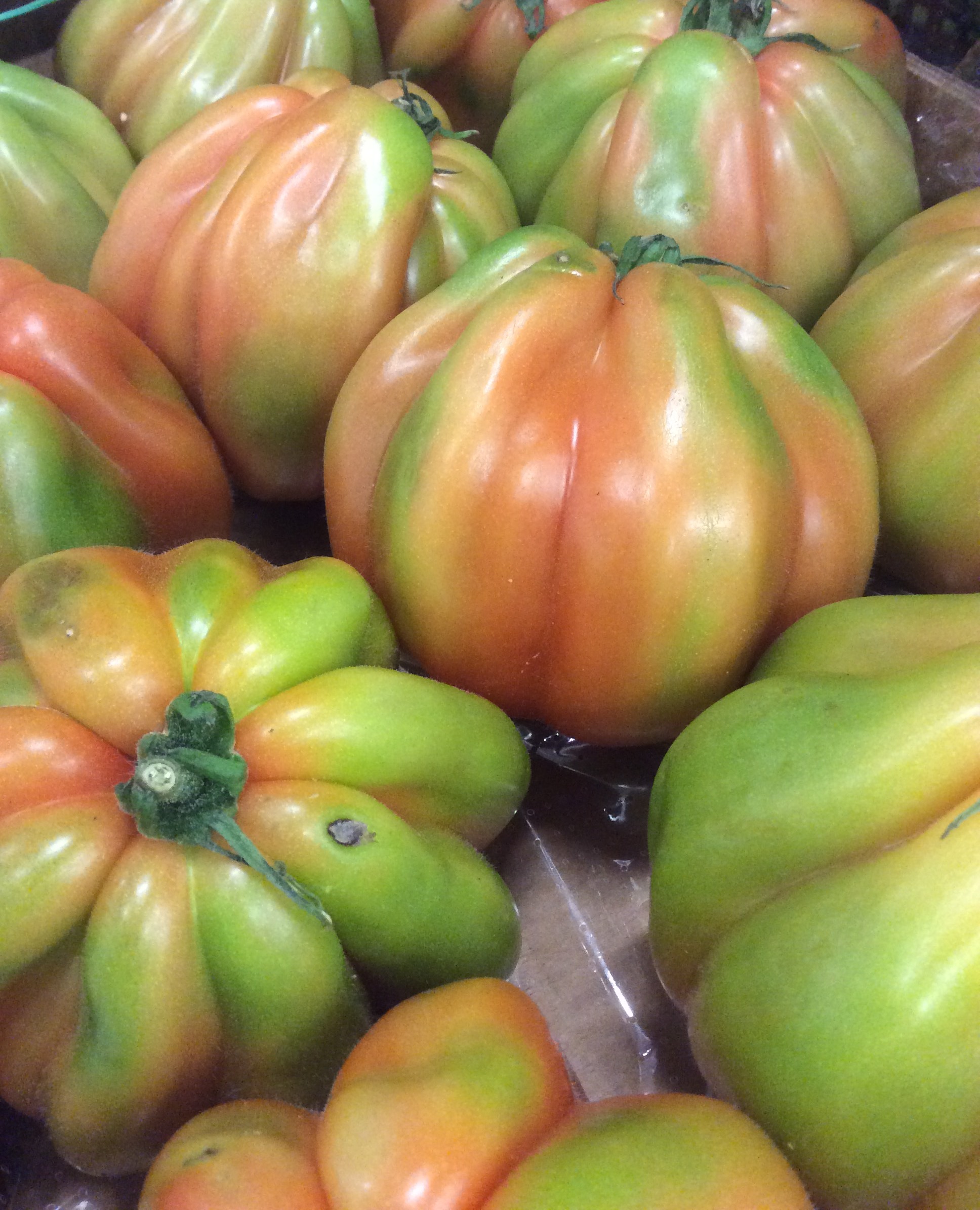 Tomat Oxhjärta Klass 1