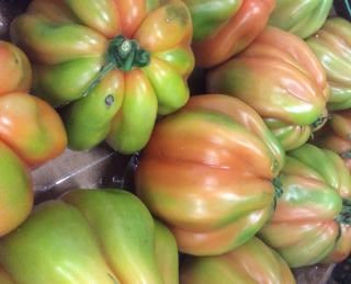 Tomat Oxhjärta Klass 1