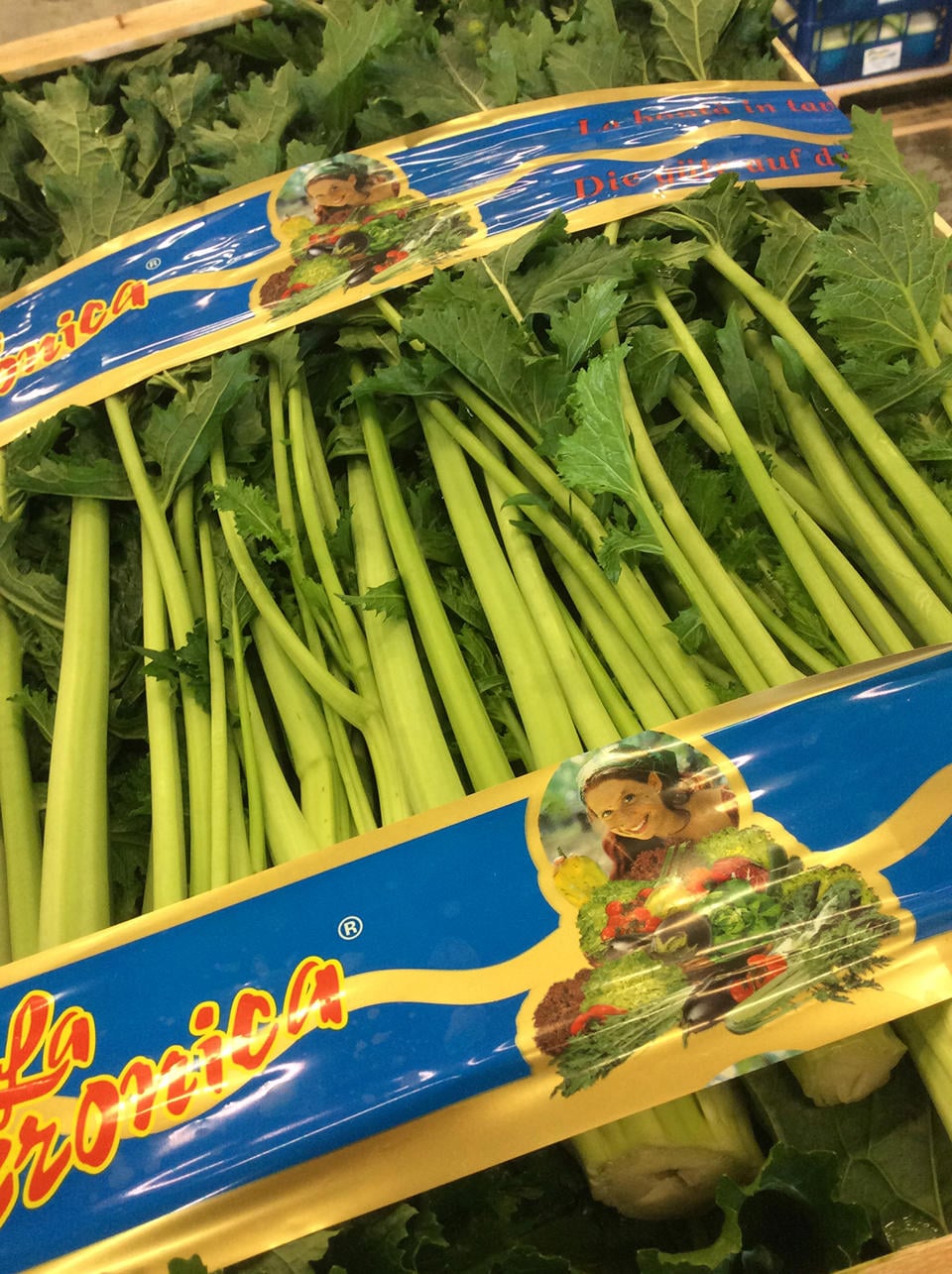 Cima di rapa