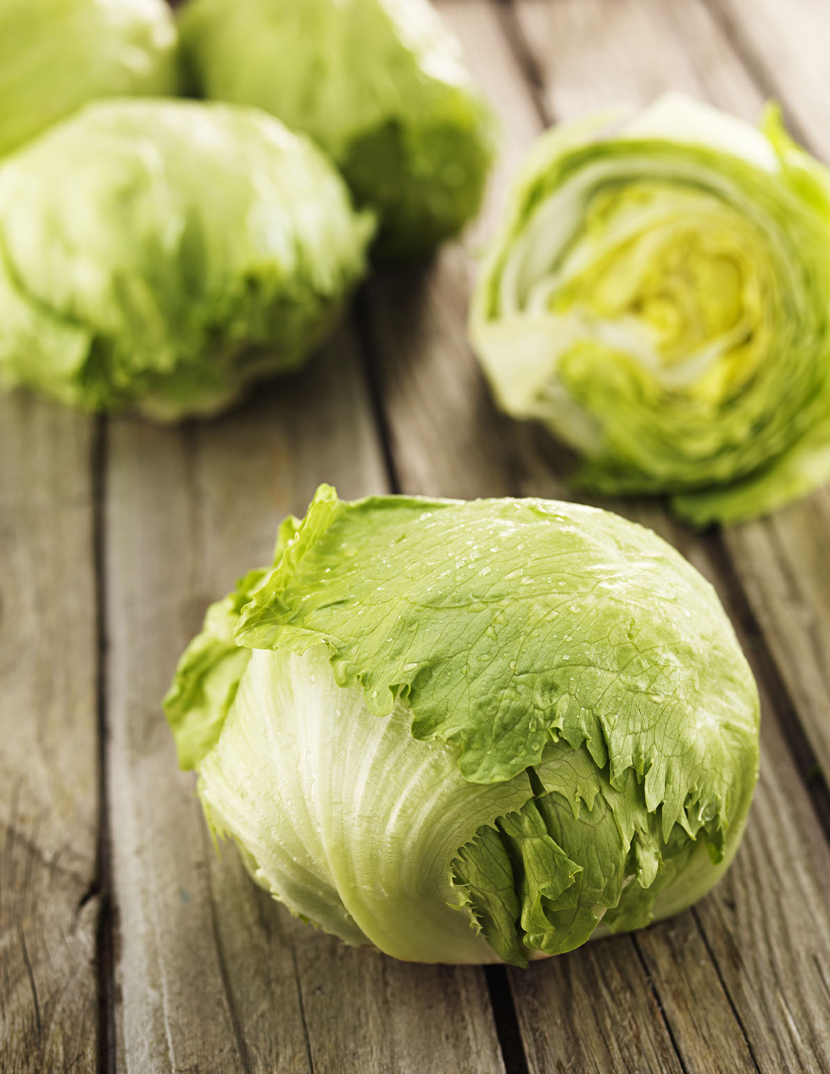 Isbergssallat  Sverige