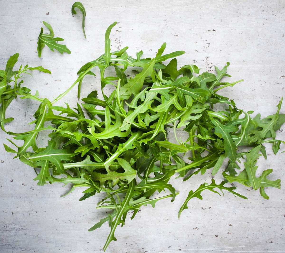 Ruccola EKO