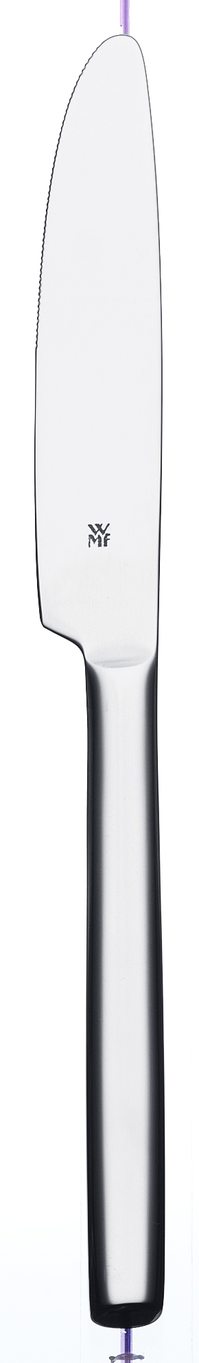 Bistro Förrättskniv Rostfri 210mm