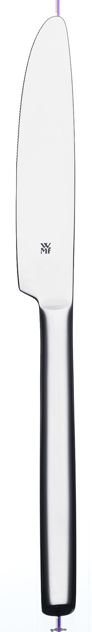 Bistro Förrättskniv Rostfri 210mm