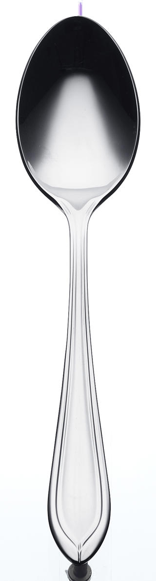 Flair Förrättssked 183mm