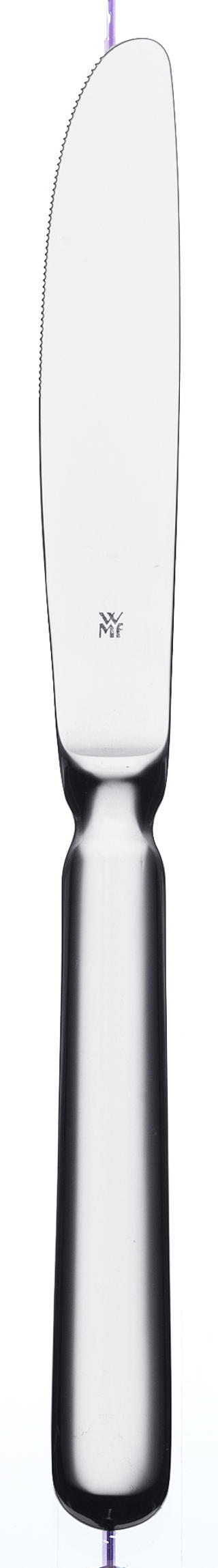 Baguette Förrättskniv Rostfri 214mm