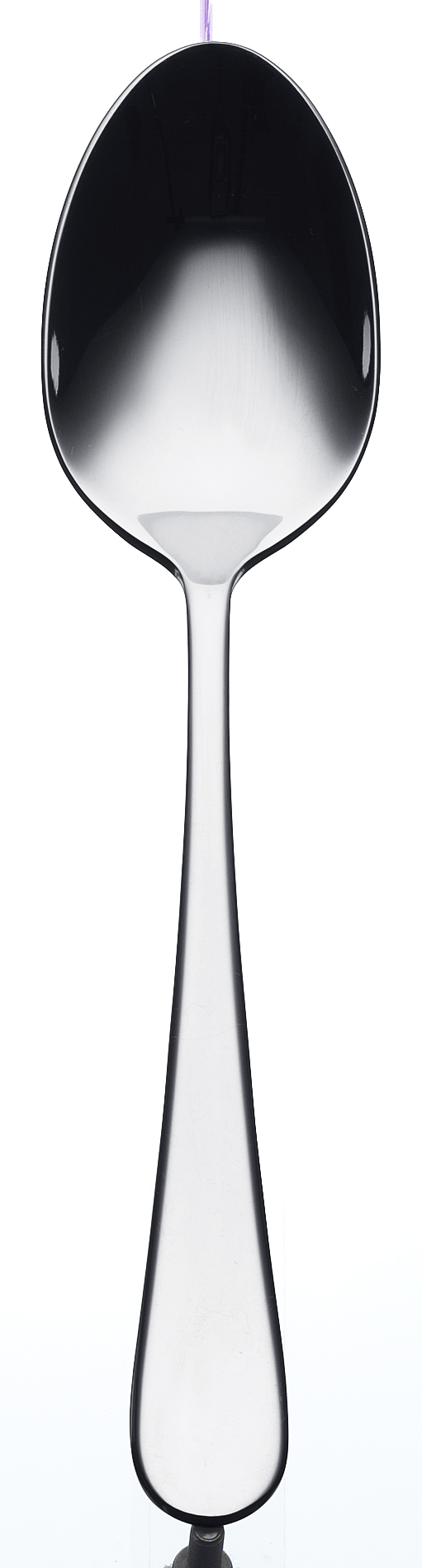 Signum Förrättssked 190 mm