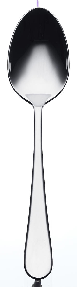 Signum Förrättssked 190 mm