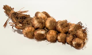 Vitlök i Fläta Rökt