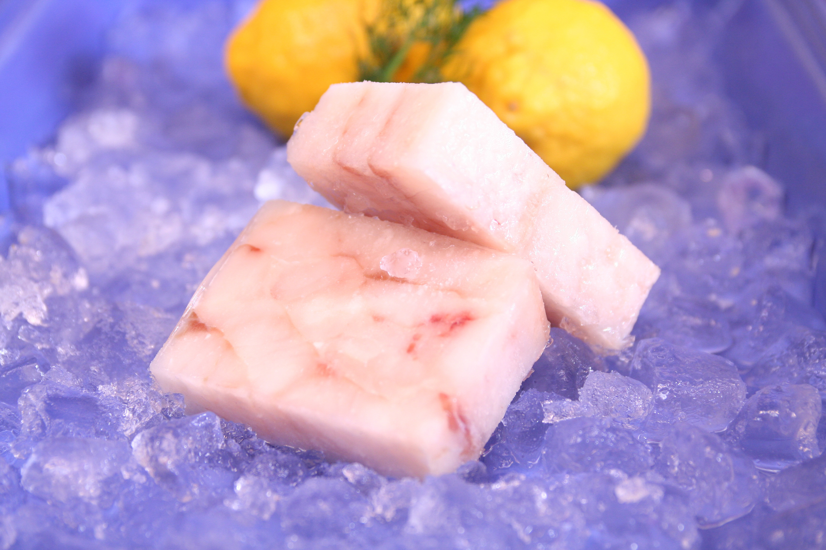 Alaska Pollockfilé i Portionsbit från Block MSC