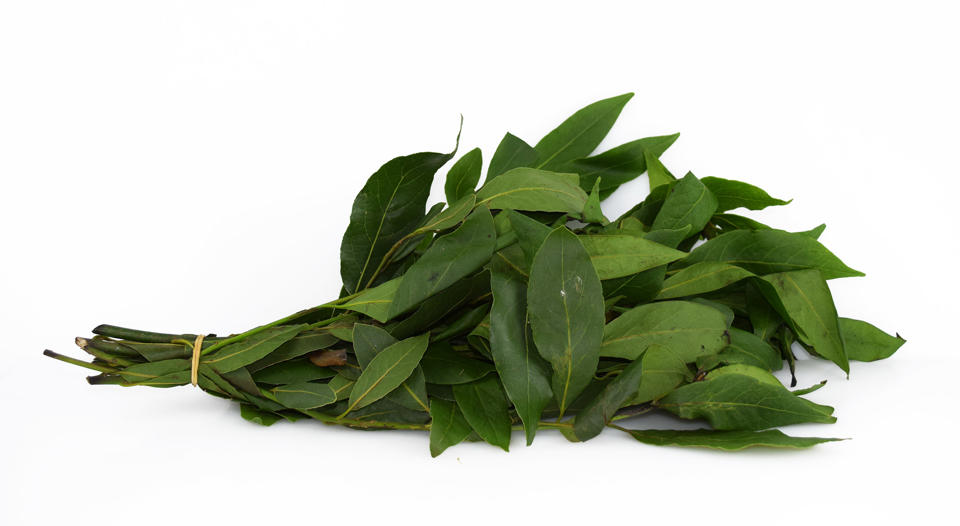 Lagerblad bunt