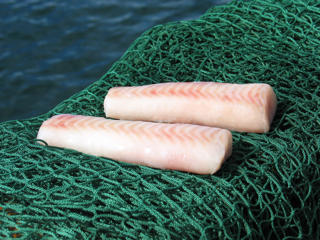 Alaska Pollock Ryggfilé 80-120g MSC