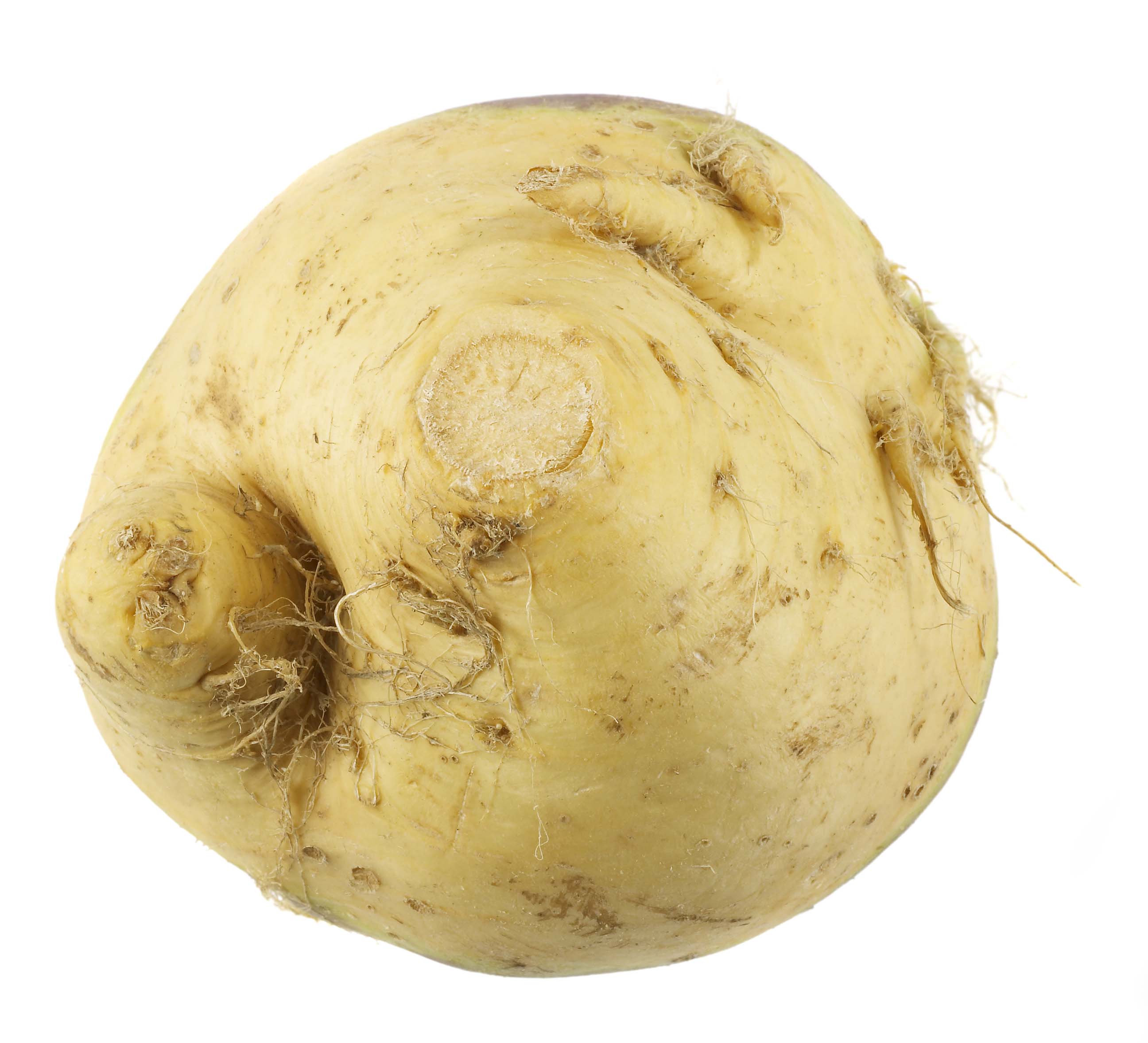 Kålrot Klass 1 Sverige