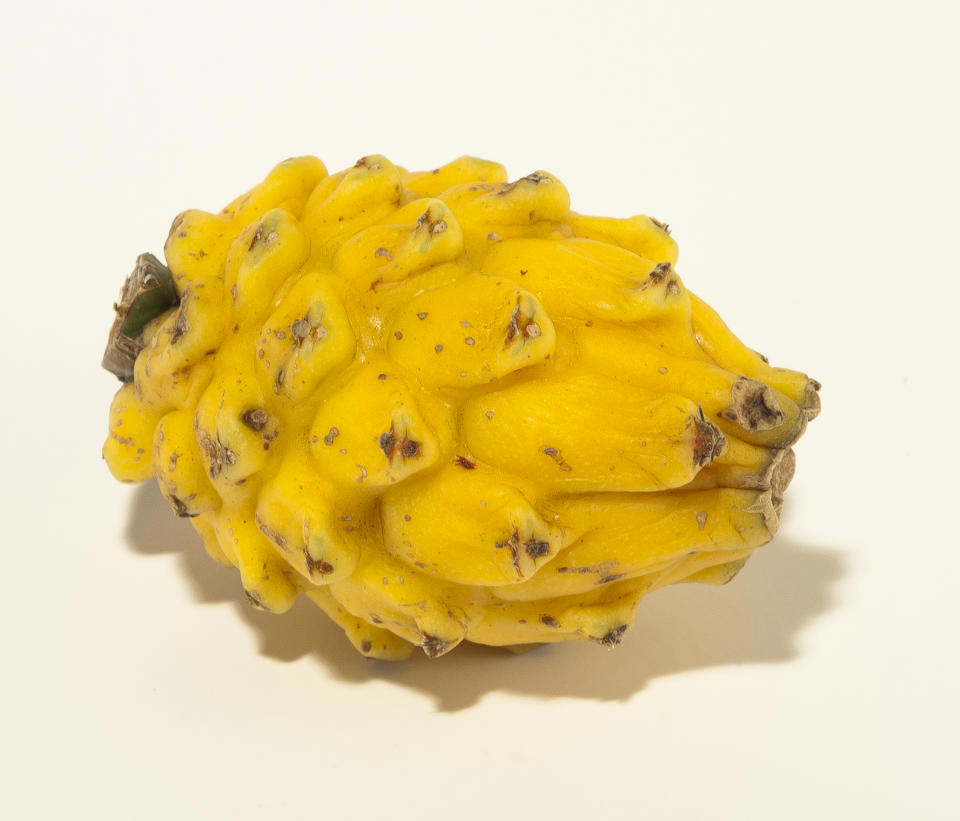 Pitahaya gul