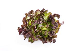 Sallat Ekblad Klass 1