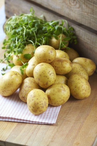 Potatis Medel 10kg Tvättad Sverige