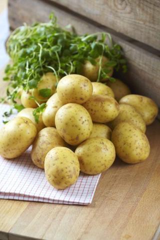 Potatis Medel 10kg Tvättad Sverige