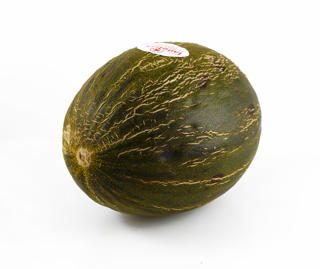 Piel de Sapo Melon