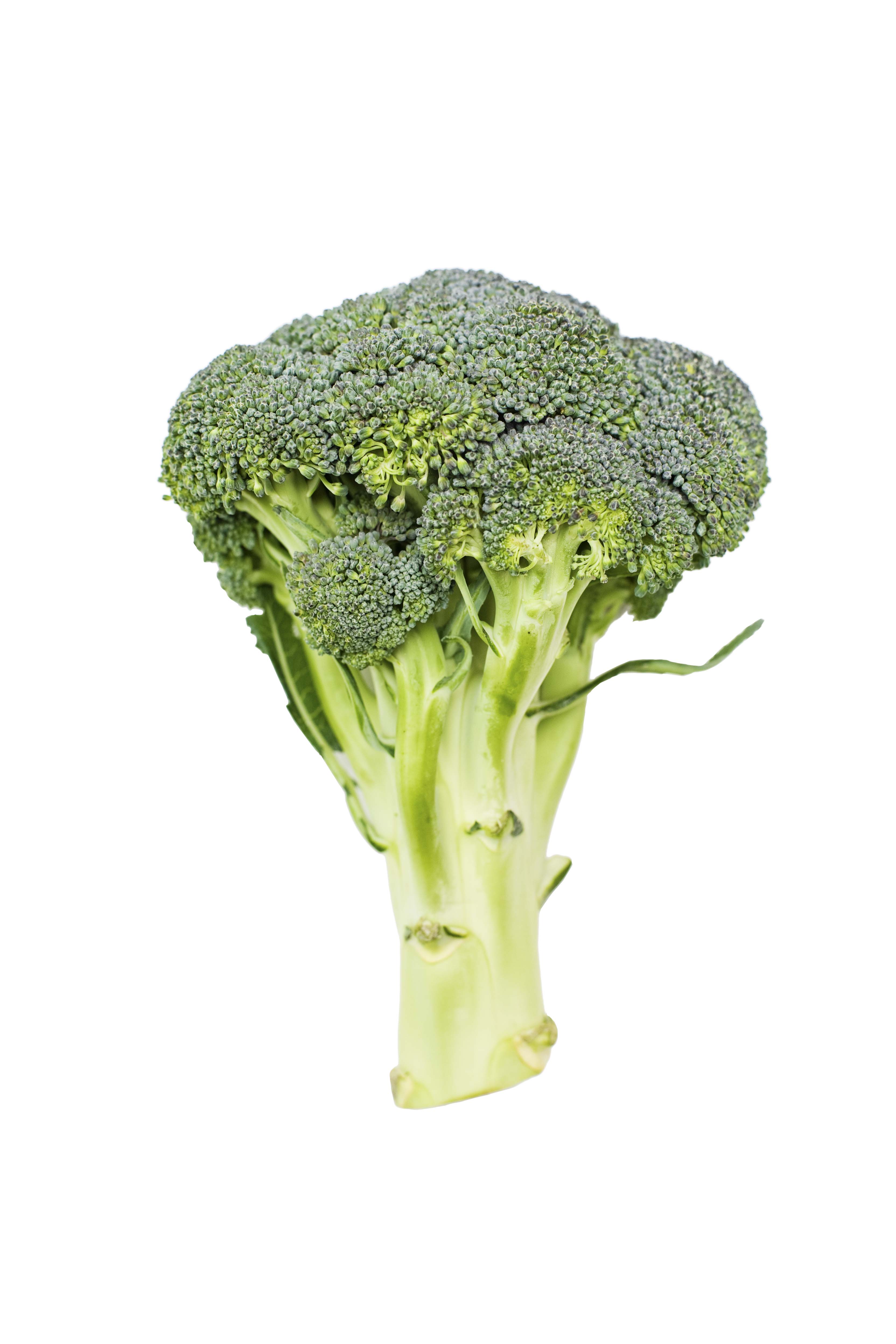 Broccolibukett 10-15g