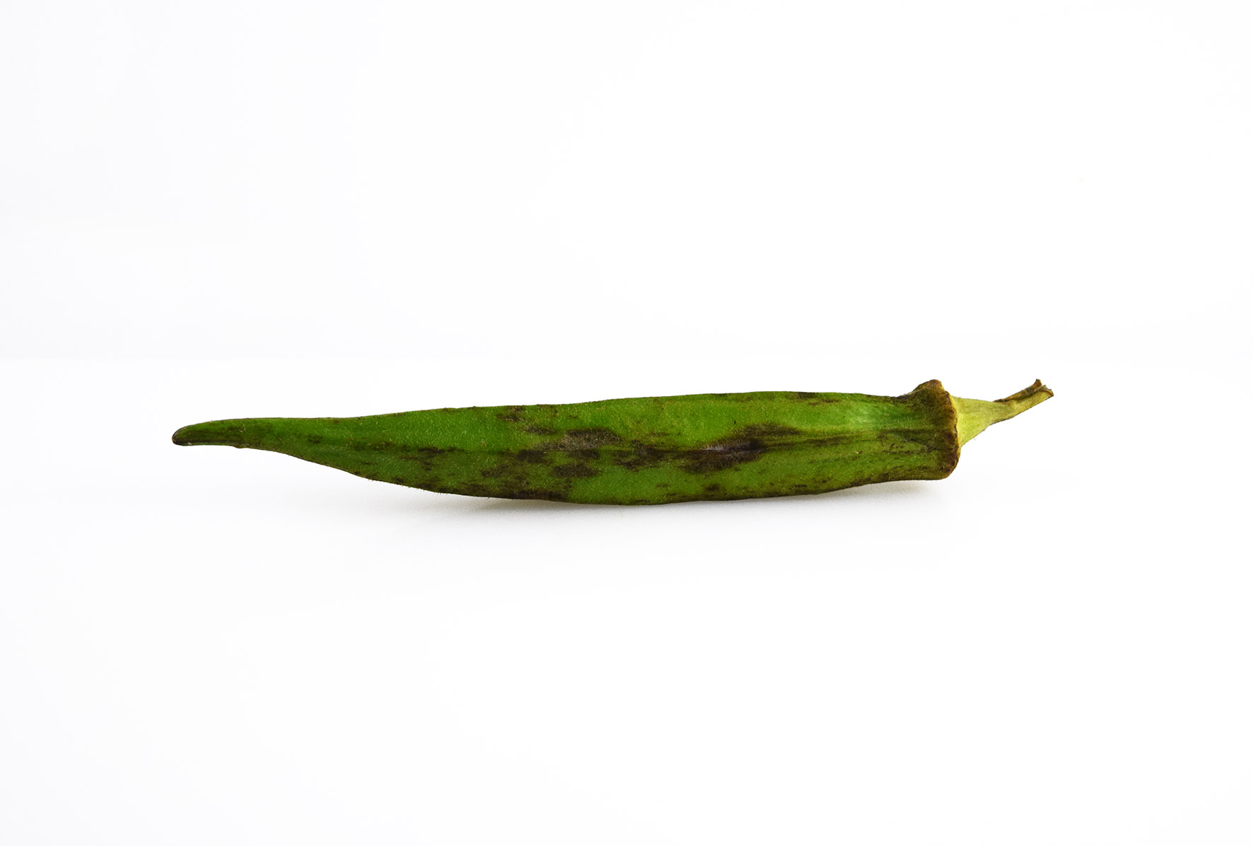 Okra