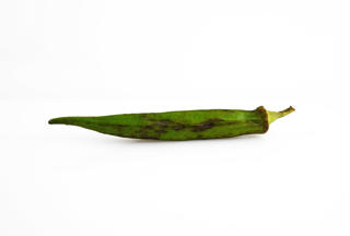 Okra