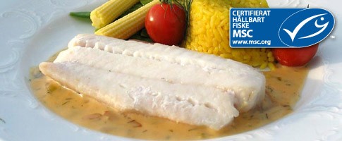 Hoki Ryggfil Skinn Och Benfri 110 130g MSC K p Ryggfil Hos Menigo hoki-ryggfil-skinn-och-benfri-110-130g-msc-k-p-ryggfil-hos-menigo