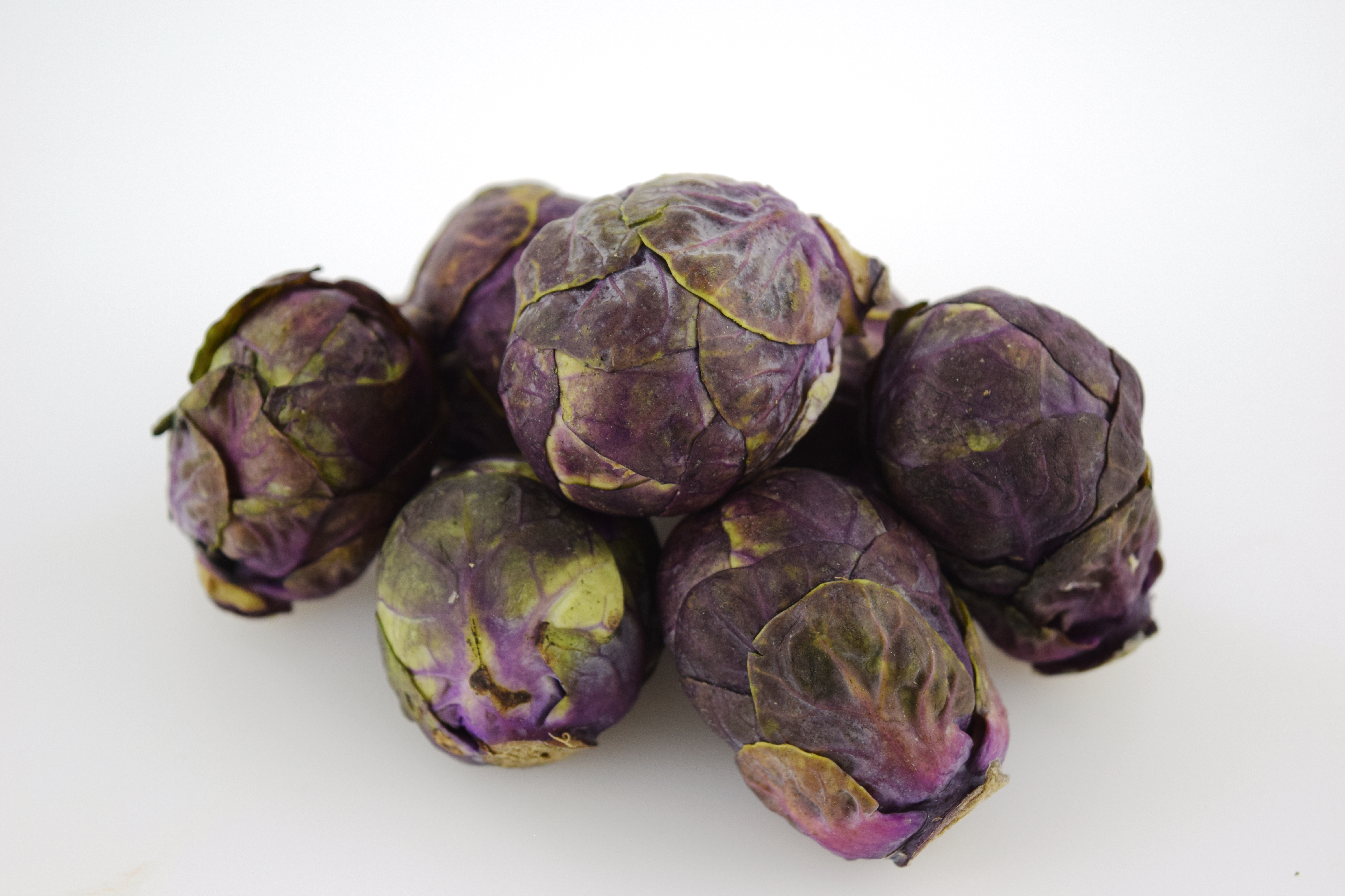 Brysselkål Lila