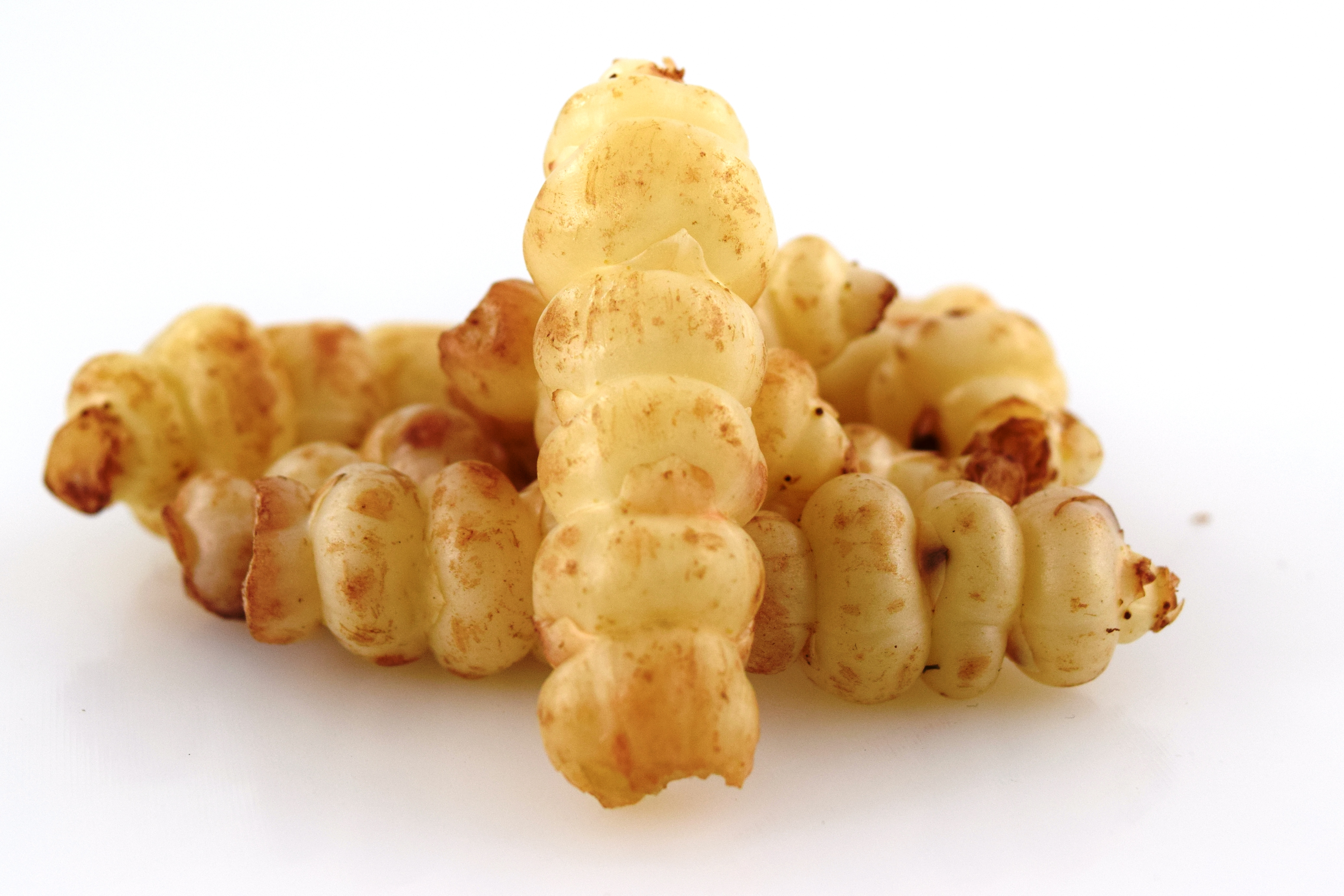 Crosnes