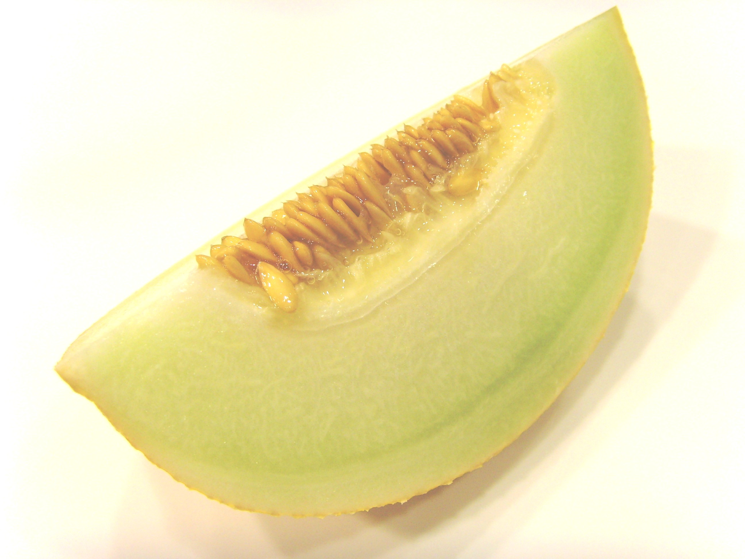 Melon galia SE