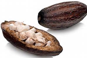 Kakaofrukt