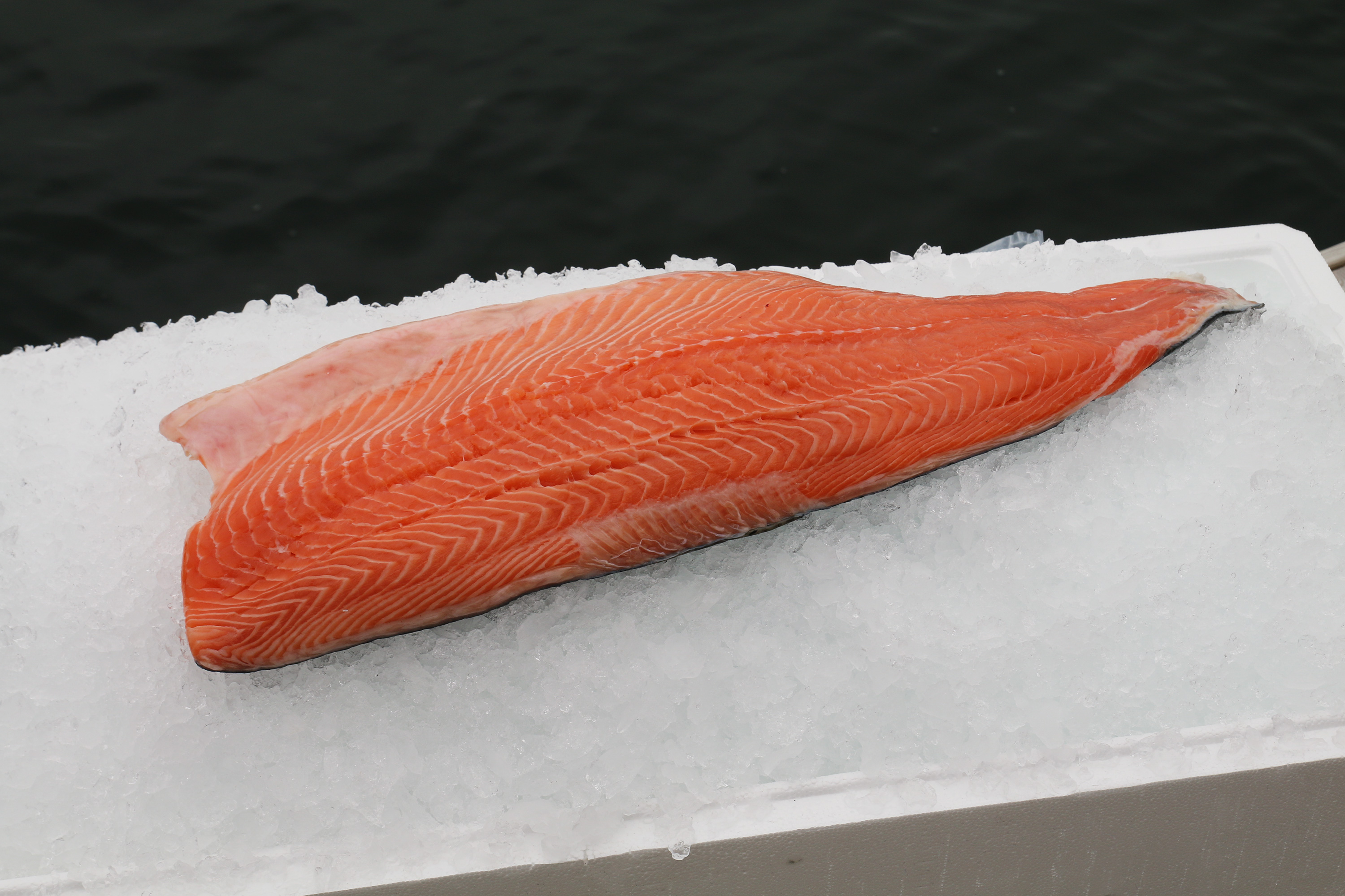 Laxfilé med Skinn C-trim