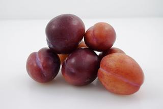 Plommon Jubileum Sverige