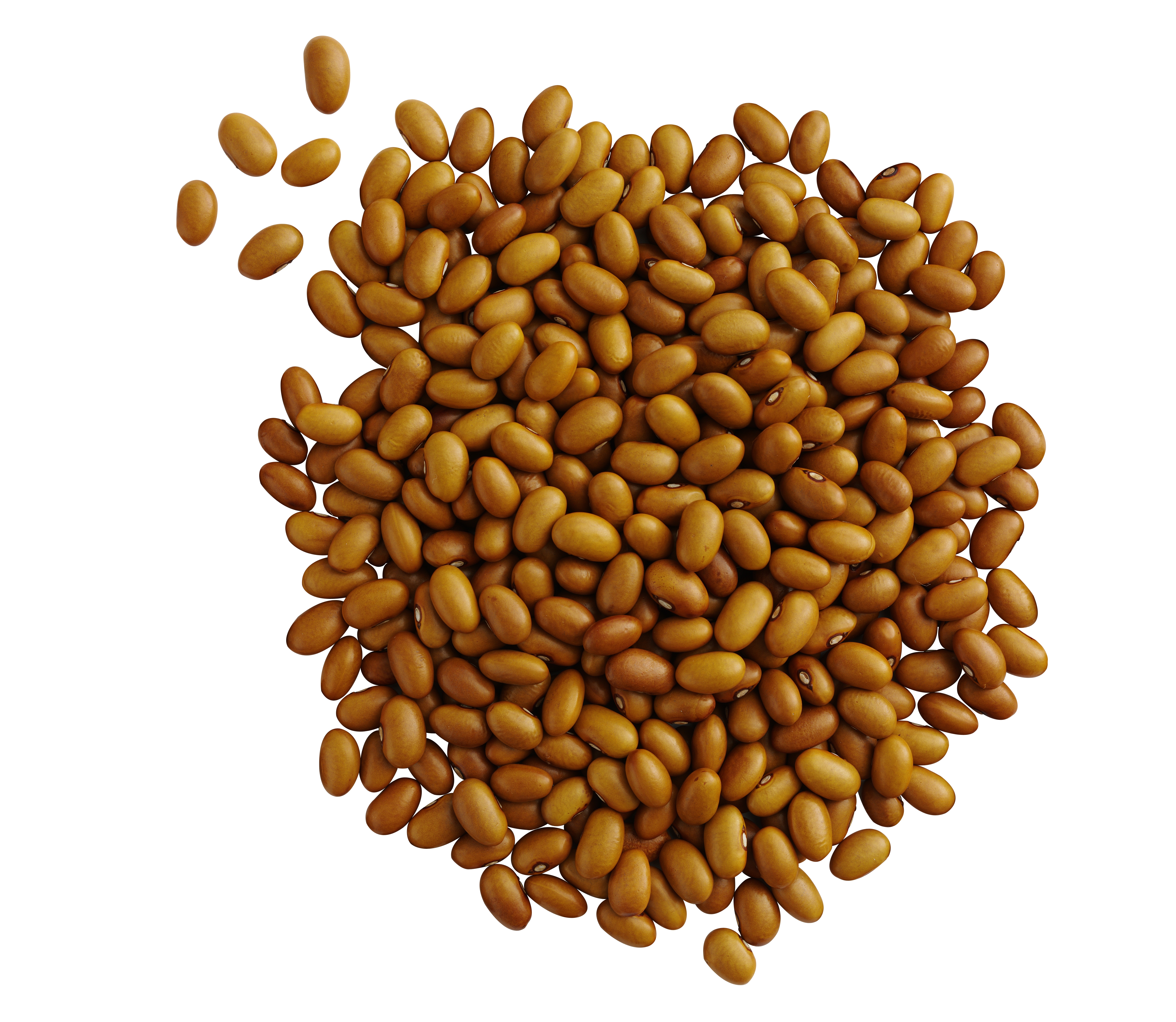 Bruna Bönor Sverige