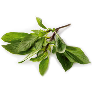 Thaibasilika i Lösvikt