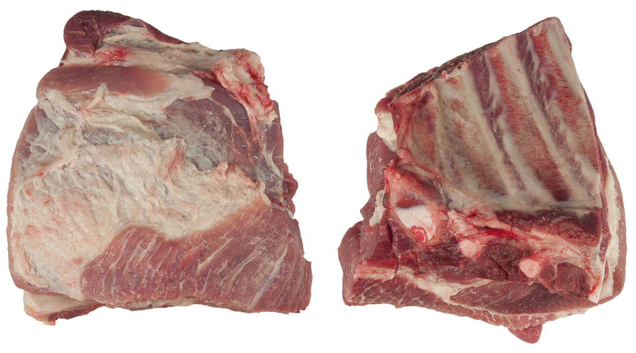 Bogrevben utan Bröstben Sverige