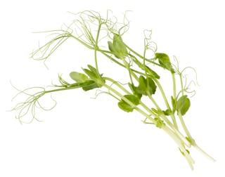 Ärtskott EKO KRAV Sverige