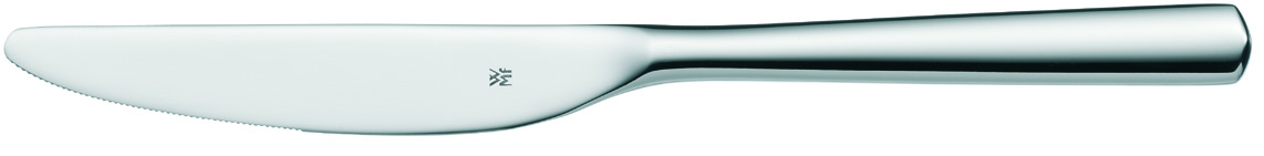 Base Förrättskniv Rostfri 213mm