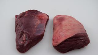 Pichana Hjort Nya Zeeland