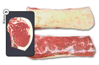 Biff med Kappa Klass 5 Sverige