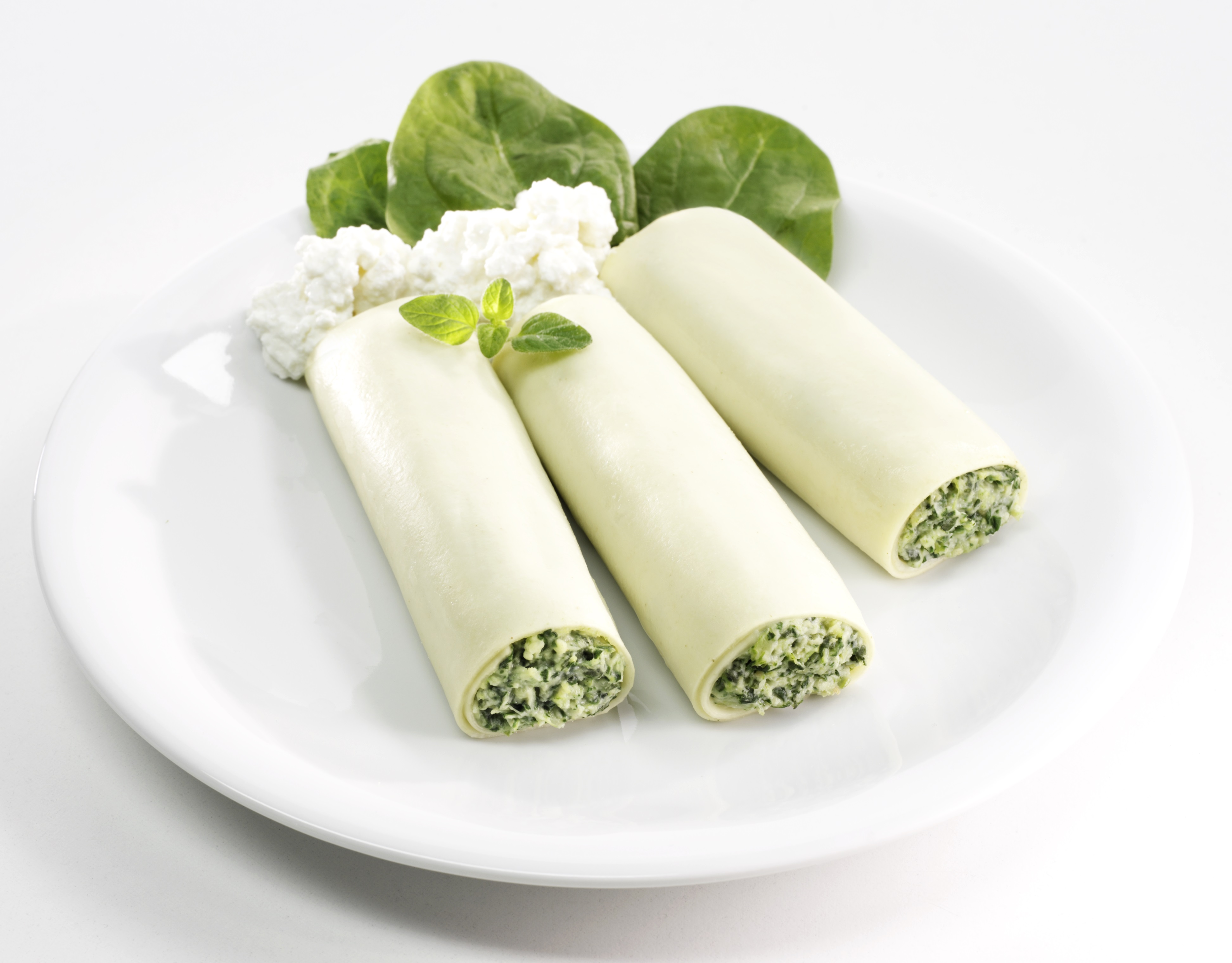 Cannelloni Ricotta Spenat