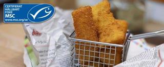 Torskfilé med Pankopanad 40-60g MSC