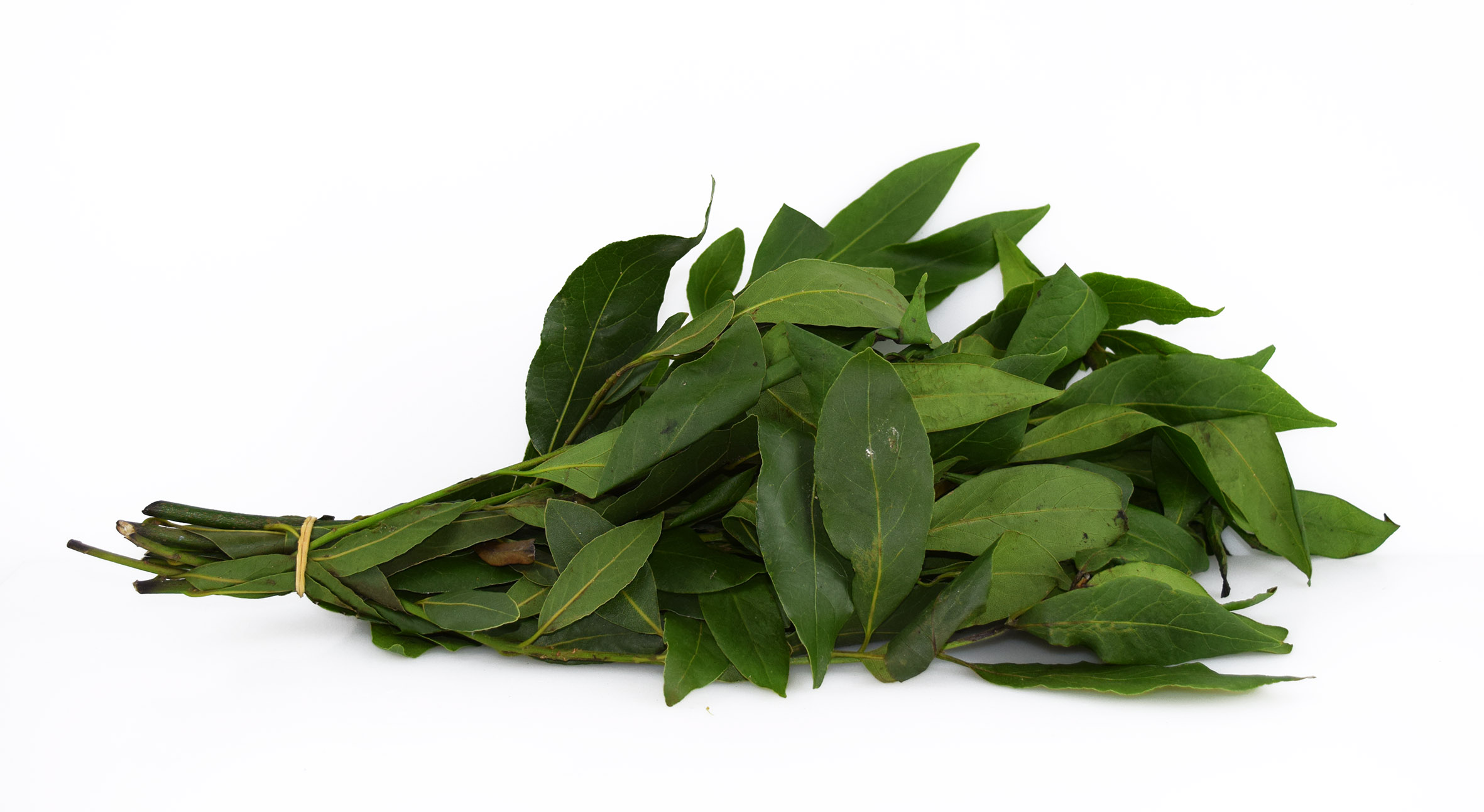 Lagerblad i Lösvikt