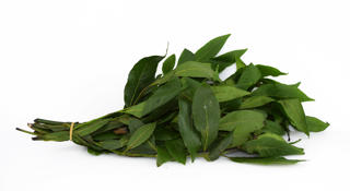 Lagerblad i Lösvikt