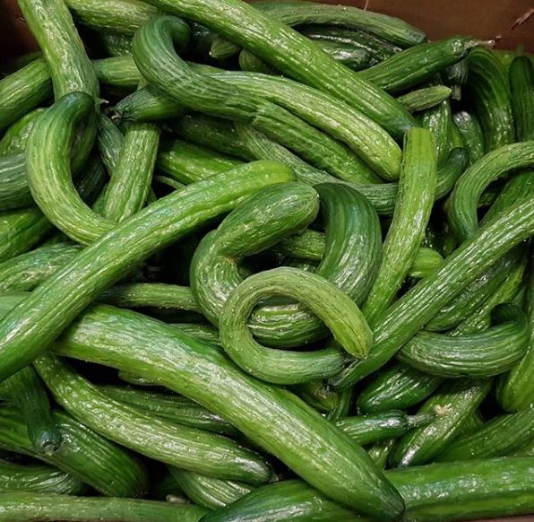 Gurka Pepelino Klass 1 Sverige