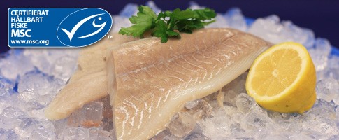 Sejfilé Tails 130-160g MSC