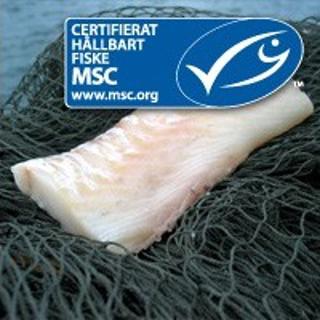 Kolja Ryggfilé, 110-130 gr MSC