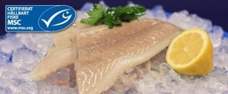 Sejfilé 125-250g MSC