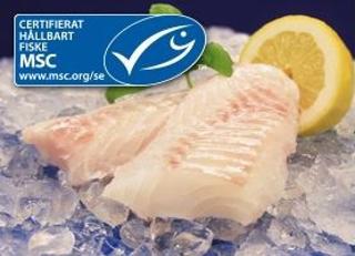 Torskrygg Kedjepack MSC