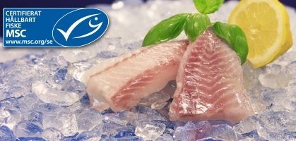 Sej Ryggfilé 120-140g MSC